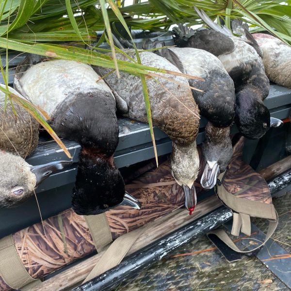 Capt Nick with another great duck hunt this morning.