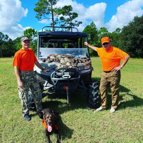 Great day of quail and pheasant hunting today at P4 Ranch.