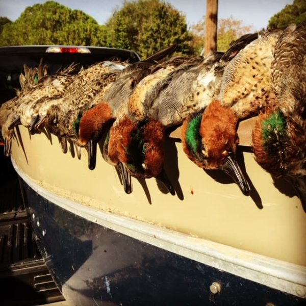 Duck Hunting