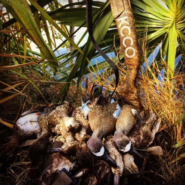 Duck Hunting