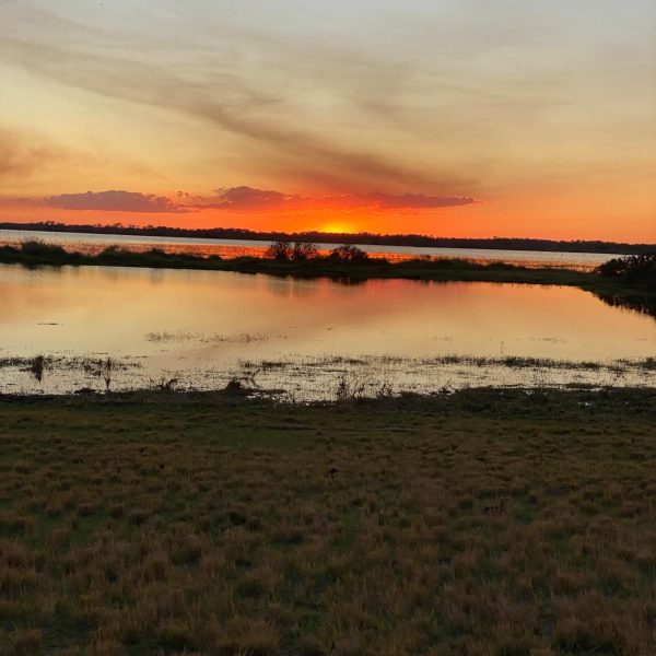 P4 Ranch Central Florida 30