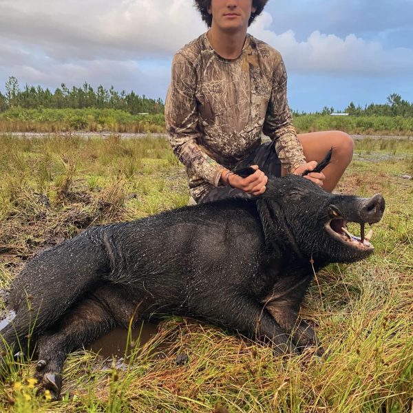 Storm coming in had them moving tonight!!