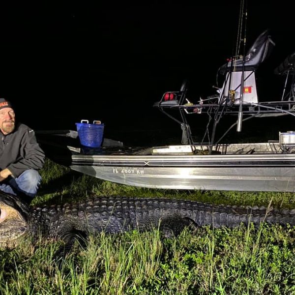 The 2020 FL Public Waters Alligator Permit results are out. Please contact us to