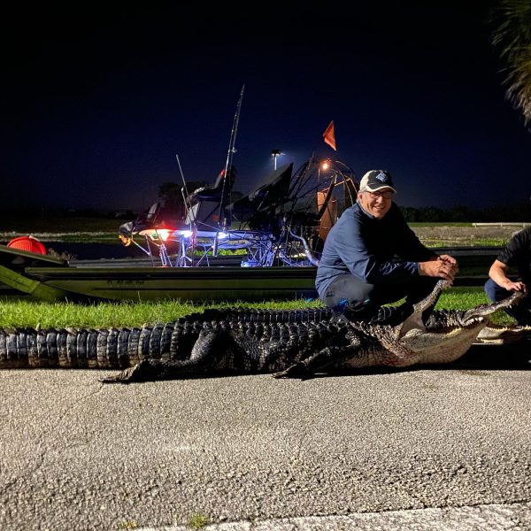 Two great nights with stud gators.
