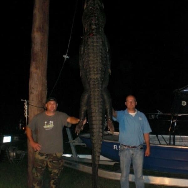 central-florida-alligator-112