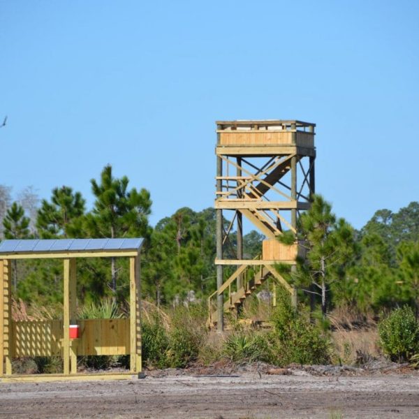 central florida pheasant shoot 03