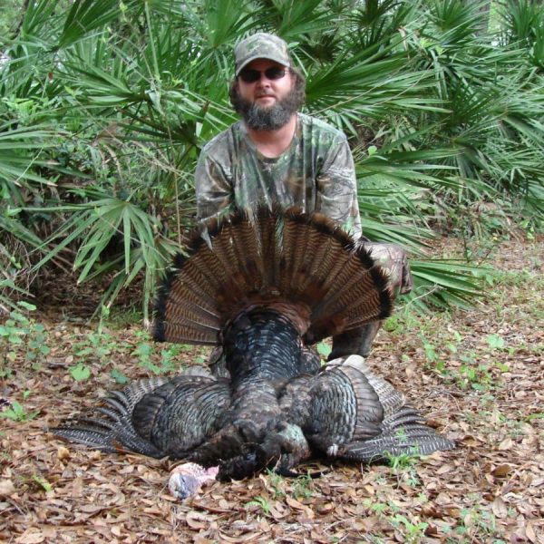 Turkey Hunting In Osceola
