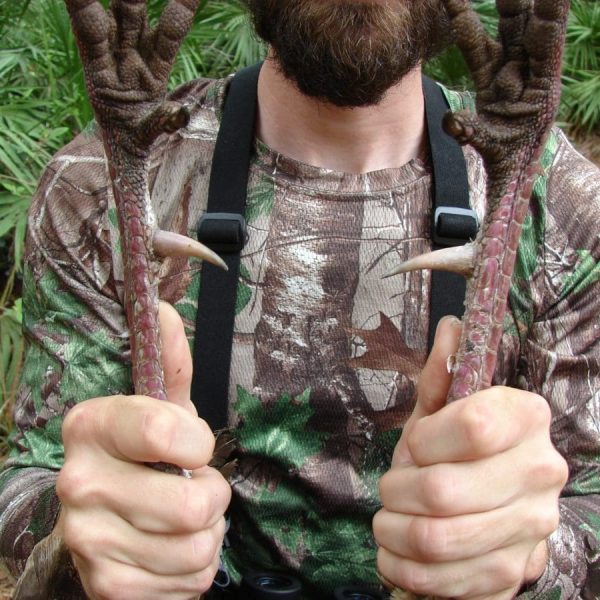 osceola-turkey-hunts-25